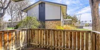Forest Cove Gallery 53