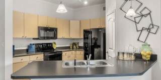 Canyon Vistas Gallery 2