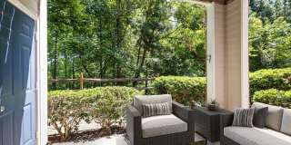 Aventura RTP Gallery 10