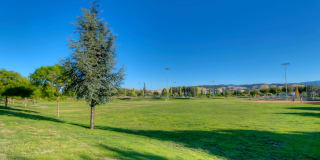 The Lex The Lex Gallery 46