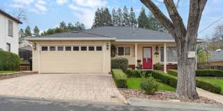 DOWNTOWN PLEASANTON Gallery 1