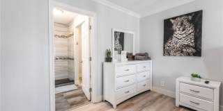 2419 Vegas Valley Drive Gallery 22