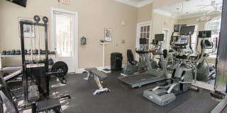 Paces Park Gallery 4