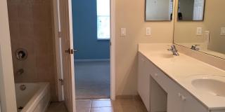 509 Alejandro Lane Gallery 16