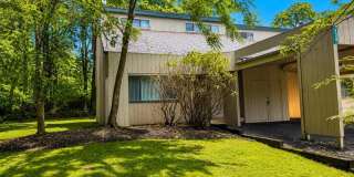 238 Evergreen Court Gallery 1