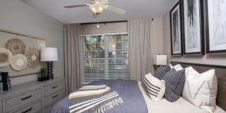 Lake Clearwater Gallery 21