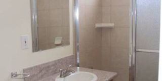 1271 Boynton Street Gallery 10