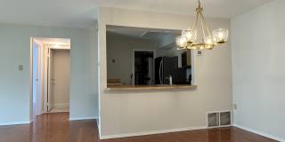 311 Society Place Gallery 4