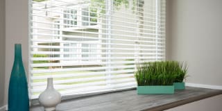 Hidden Oaks Apartments Gallery 9