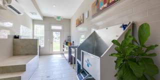 Flats at Ballantyne Gallery 19