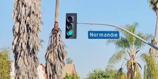 1833 N NORMANDIE Ave unit: 307 Gallery 22