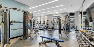 The Artessa Gallery 19