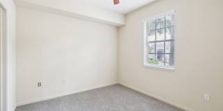 Dakota at Abacoa Gallery 33