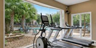 Stone Oak @ Parmer Gallery 3