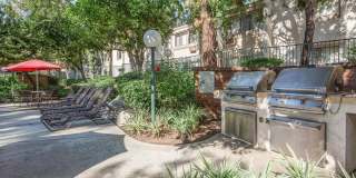 Country Woods Apartment Homes Gallery 11