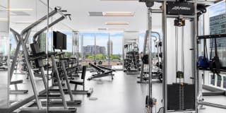 The Modern Gallery 33