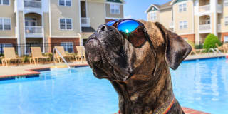 Bradford Park Gallery 17