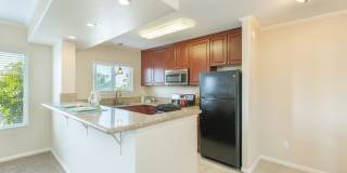 Elán Ocean Walk Apartment Homes Gallery 4