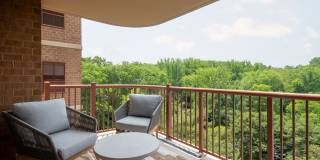 The Magnolia Gallery 31