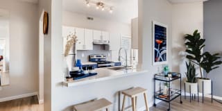 Alta Springs Gallery 10