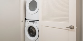 The Seaton Gallery 29