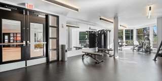 Lark Gallery 28