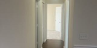 Promenade At Tampa Palms Gallery 15