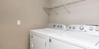 Sussex Downs Gallery 37