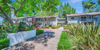 Country Club Village Gallery 20