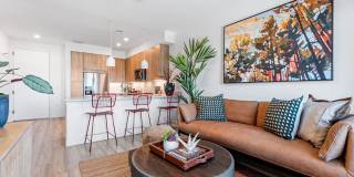 Aura Arts District Gallery 51