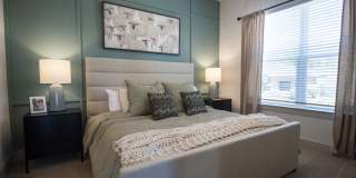 Solis Gainesville Gallery 15