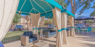 Morrison in Mesa Gallery 15