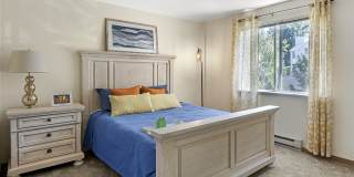 Canyon Springs Gallery 8