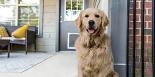 Dane Park North Garland Gallery 1