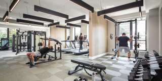 Wren on the Creek Gallery 37