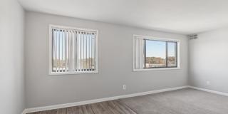 Swift at Riverdale Park Gallery 66