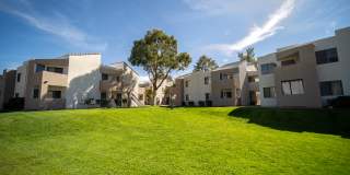 Desert Springs Gallery 22