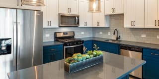 New Bridge Crossing Gallery 2