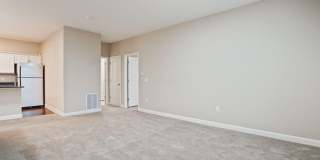 5137 Foxtail Pine Street Gallery 16