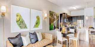 Fountain Pointe Las Colinas Gallery 45