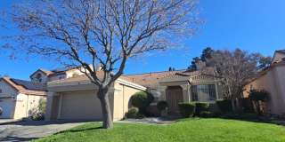 Travis School District Gallery 1