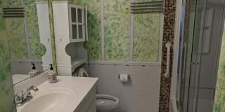 2996 PADDOCK WOOD Court Gallery 16