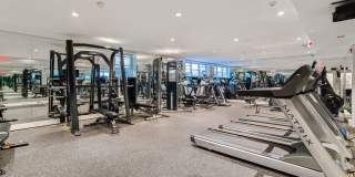 Radwyn Apartments Gallery 14