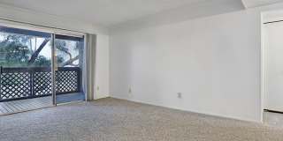 Garden Place Gallery 18