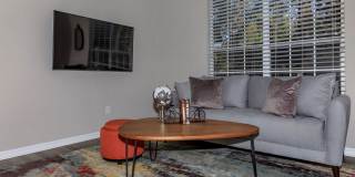 Ansley Terrace Gallery 11