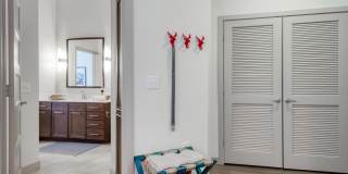 Agave Gallery 30