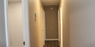 335 Poplar Avenue Gallery 10