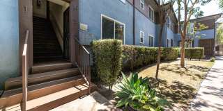4040 Palmwood Gallery 14