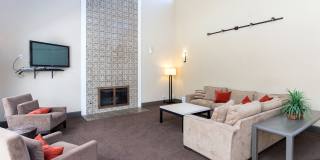 Evelyn Gardens Gallery 21
