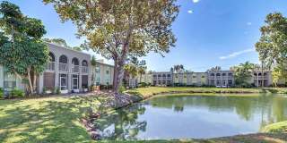 Marisol Vista Apartments Gallery 13